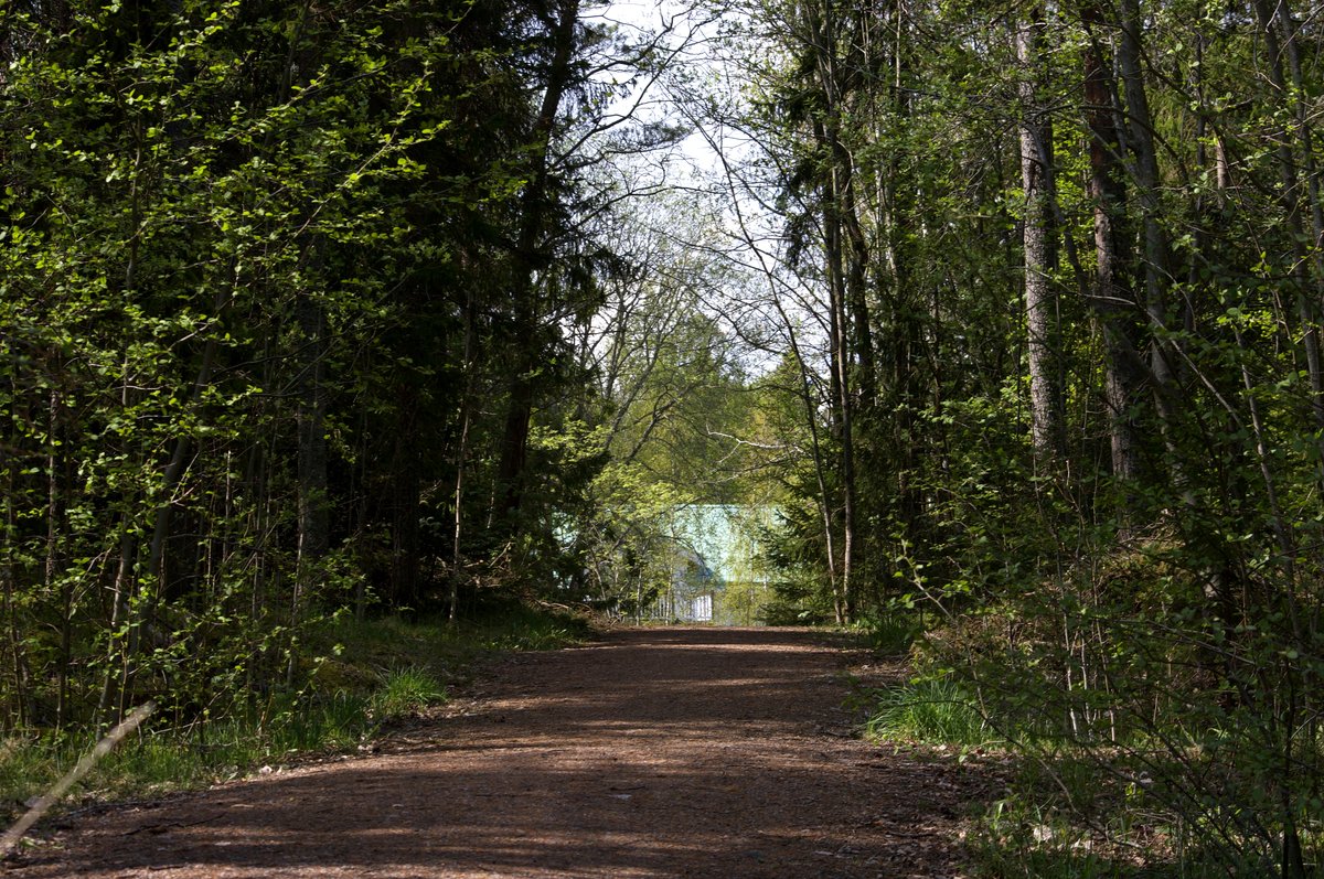 View from the ride