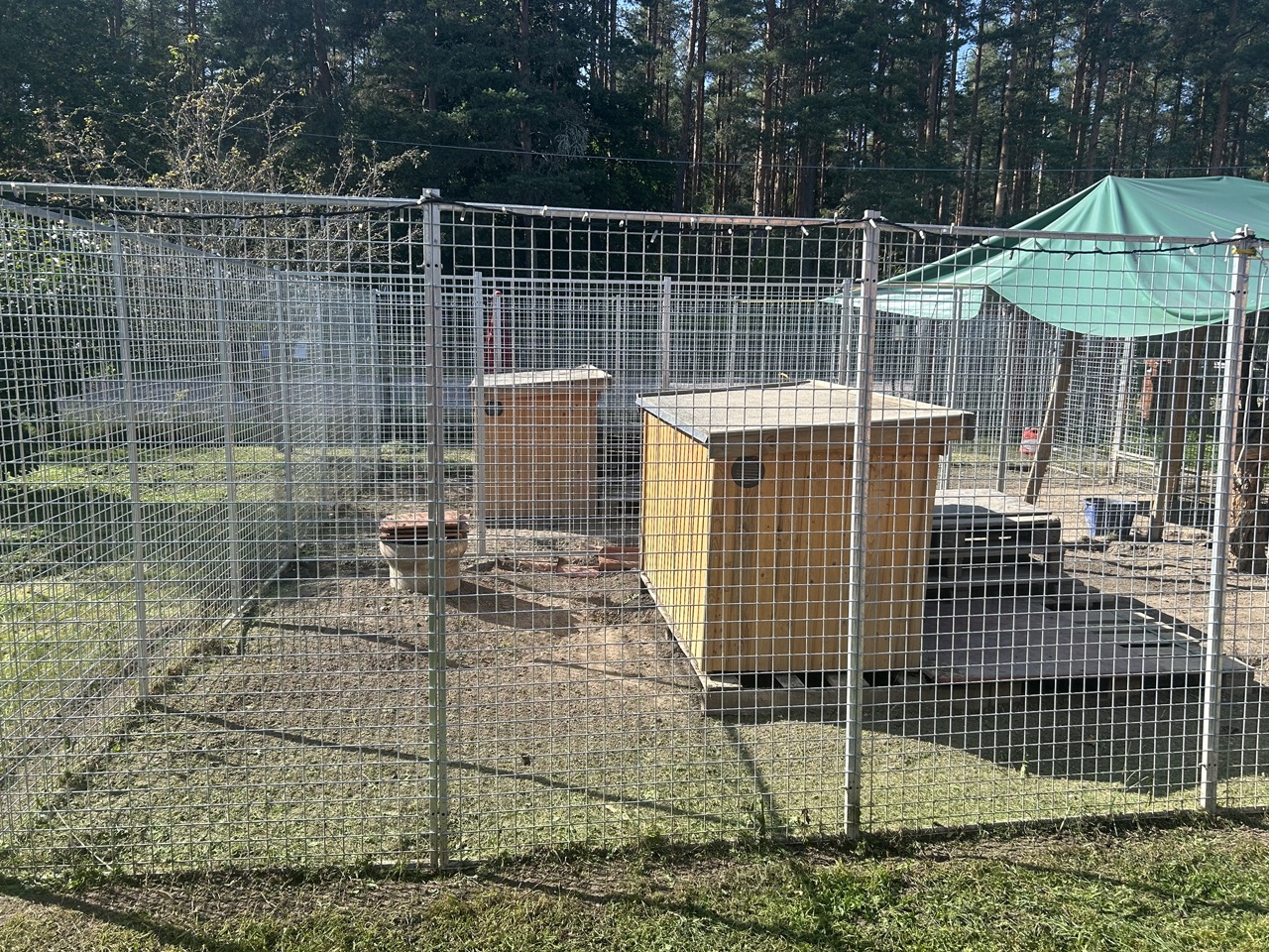two_kennels_completed Large